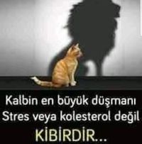 Profilbild von Dönüş Alıcı