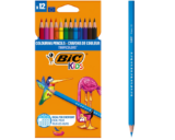 BIC Kids 8325669 Buntstift Tropicolors 2, 12-farbig sortiert, Kartonetui, 12 Stück
